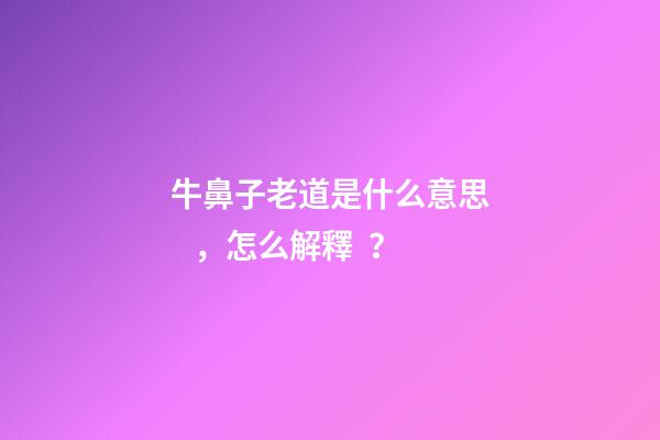 牛鼻子老道是什么意思，怎么解釋？